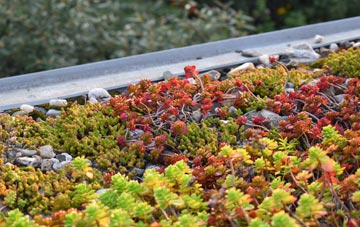the cost of Hulcote green roof installation