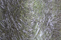 Hulcote fibreglass roof work